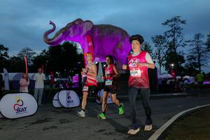 BIB: 
                            <button type="button" onclick="openModal(26529760)" class="btn btn-primary btn-sm float-right btn-popup" data-toggle="modal" data-target=".modal-high-quality">
                        <i class="fas fa-shopping-cart"></i> Add to Cart
                    </button>
                                            <button type="button" onclick="isThisMe(26529760, true)" class="btn btn-success btn-sm float-right btn-popup btn-isme hidden" data-toggle="tooltip" data-placement="bottom" title="นี่คือรูปของคุณใช่ไหม คลิกที่นี่เพื่อเอาเข้าอัลบั้ม">
                        <i class="fas fa-plus"></i> Add to album
                    </button>
                    <button type="button" onclick="isThisMe(26529760, false)" class="btn btn-warning btn-sm float-right btn-popup btn-isnotme hidden">
                        <i class="fas fa-ban"></i> Remove from album
                    </button>